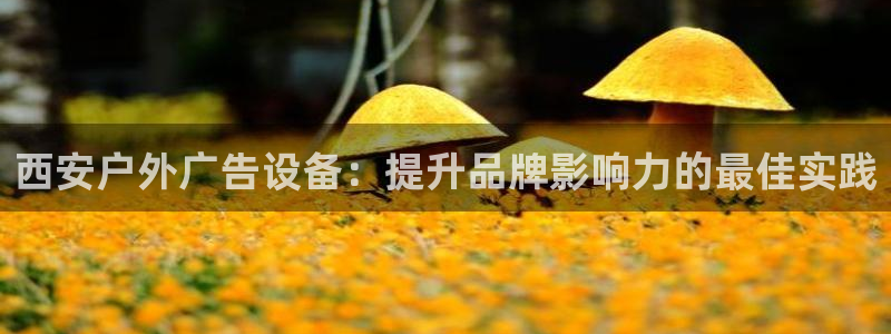 杏宇平台招商：西安户外广告设备：提升品牌影响力的最佳实践