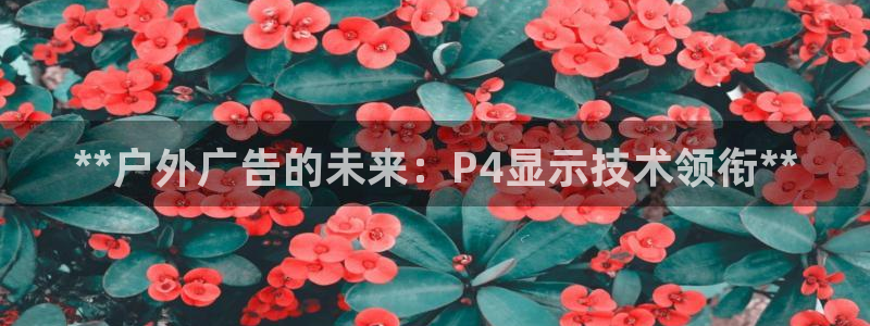 杏宇平台代理怎么样可靠吗：**户外广告的未来：P4显示技术领衔**