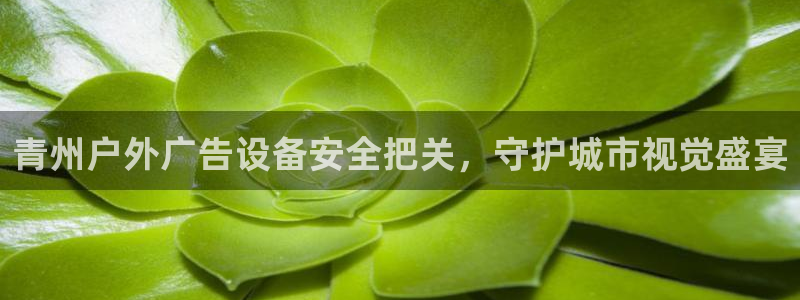 杏宇平台注册登录