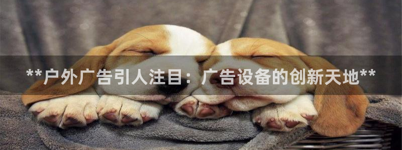 杏宇平台招商怎么样