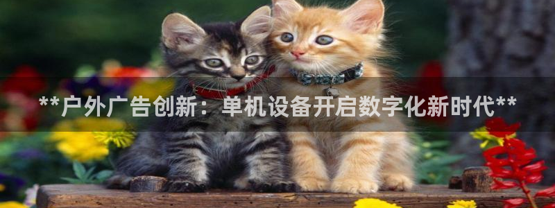 杏宇平台登录步骤：**户外广告创新：单机设备开启数字化新时代**