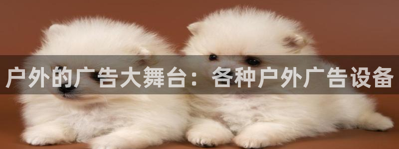 杏宇平台好吗