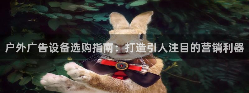 杏宇平台客服