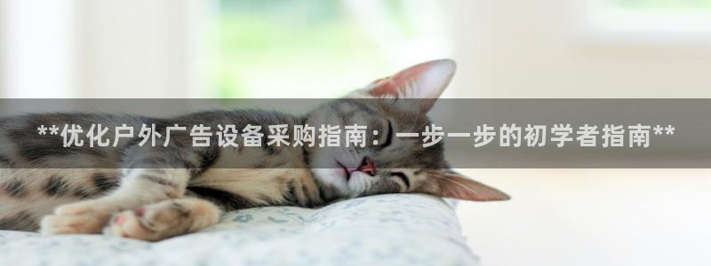 杏宇平台登录步骤是什么：**优化户外广告设备采购指南：一步一步的初学者指南**