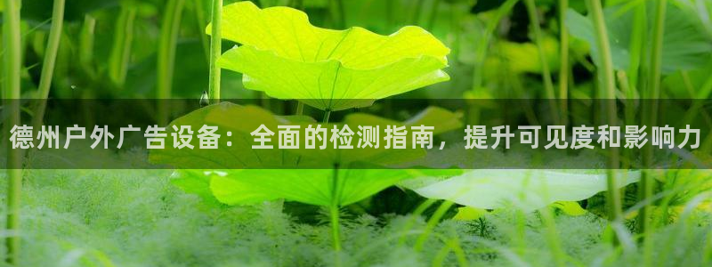 杏宇平台代理怎么样赚钱：德州户外广告设备：全面的检测指南，提升可见度和影响力