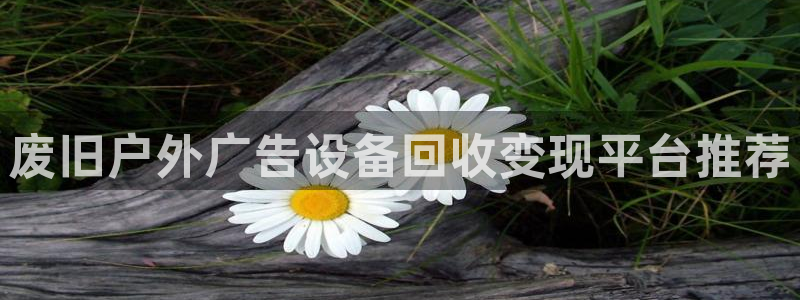 杏宇平台登陆