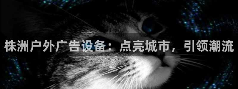 杏宇平台登录步骤是什么