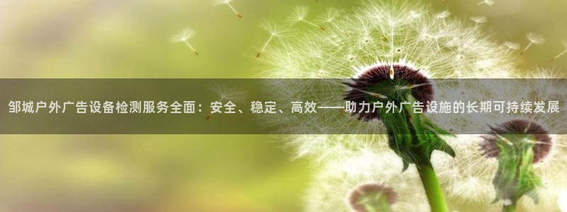杏宇平台注册地址在哪里：邹城户外广告设备检测服务全面：安全、稳定、高效——助力户外广告设施的长期可持续发展