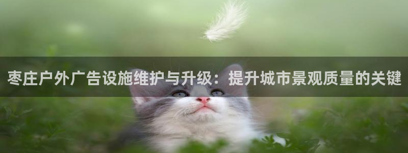 杏宇平台登录步骤：枣庄户外广告设施维护与升级：提升城市景观质量的关键
