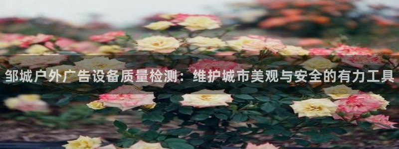 杏宇平台代理怎么样啊：邹城户外广告设备质量检测：维护城市美观与安全的有力工具