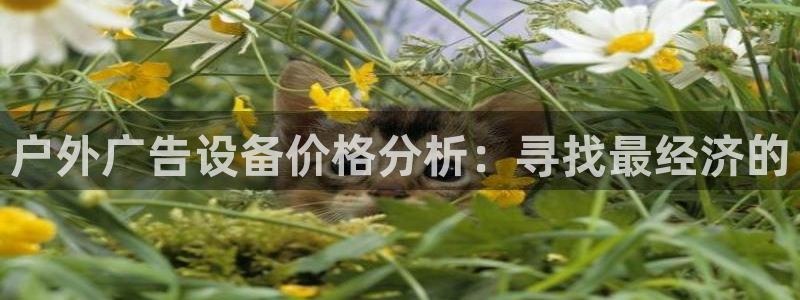 杏宇平台登录方法：户外广告设备价格分析：寻找最经济的