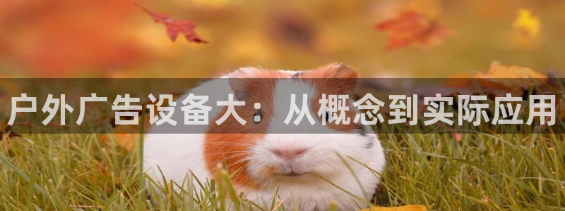 杏宇官方平台官网入口：户外广告设备大：从概念到实际应用