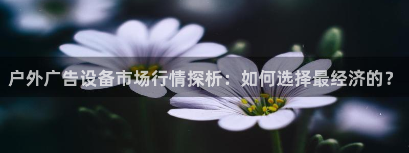 杏宇平台客服：户外广告设备市场行情探析：如何选择最经济的？