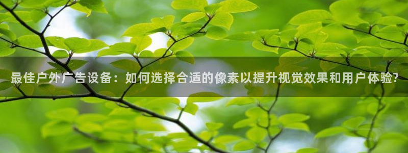 杏宇平台代理多少钱一个月：最佳户外广告设