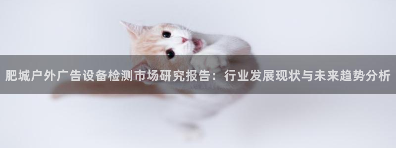杏宇平台招商怎么样：肥城户外广告设备检测市场研究报告：行业发展现状与未来趋势分析