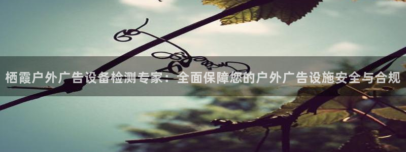 杏宇平台客服：栖霞户外广告设备检测专家：