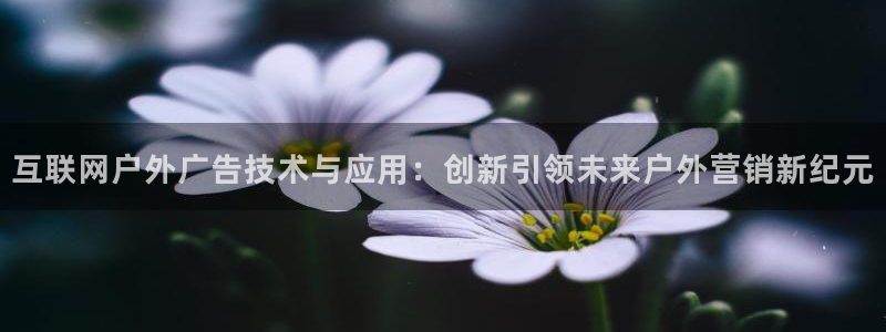 杏宇平台怎么样：互联网户外广告技术与应用