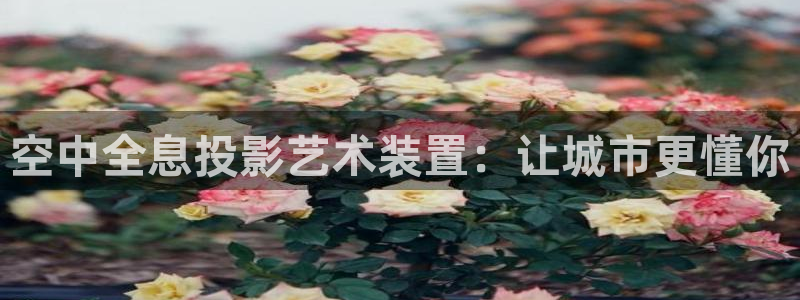 杏宇平台总代理：空中全息投影艺术装置：让城市更懂你