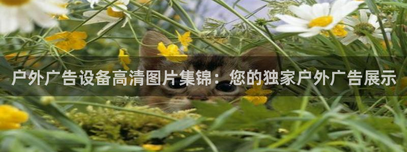 杏宇平台怎么样知乎：户外广告设备高清图片