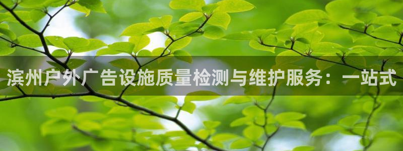 杏宇平台总代理是谁：滨州户外广告设施质量