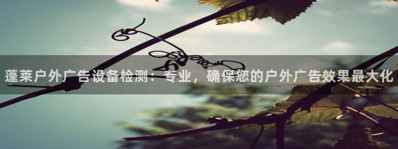 杏宇平台好吗：蓬莱户外广告设备检测：专业，确保您的户外广告效果最大化
