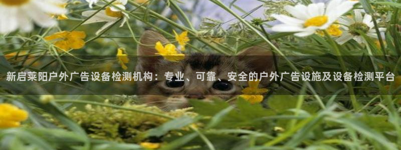 杏宇平台代理多少钱：新启莱阳户外广告设备