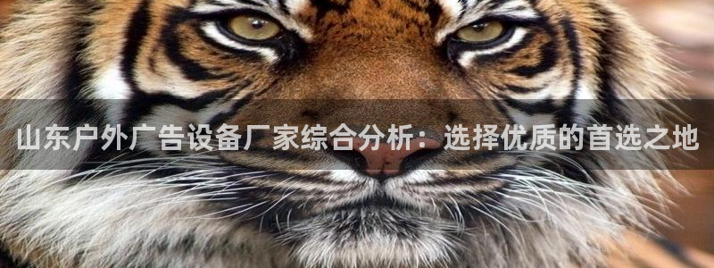 杏宇平台代理：山东户外广告设备厂家综合分