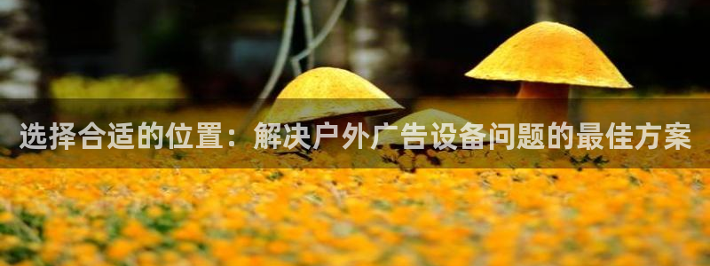 杏宇平台代理多少钱