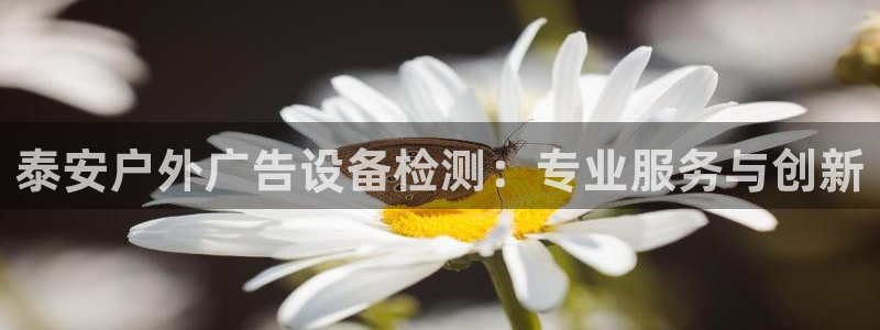 杏宇官方平台官网下载：泰安户外广告设备检测：专业服务与创新