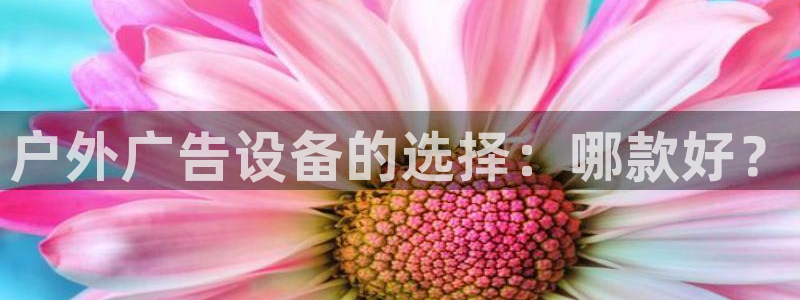 杏宇平台代理怎么样啊