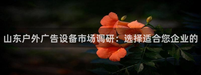 杏宇平台登录步骤图：山东户外广告设备市场