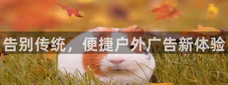 杏宇平台代理多少钱一次