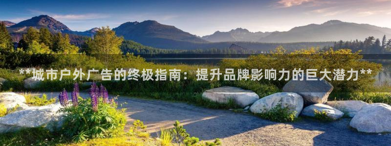 杏宇平台官网注册：**城市户外广告的终极指南：提升品牌影响力的巨大潜力**