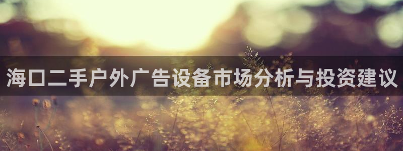 杏宇平台代理怎么赚钱快：海口二手户外广告设备市场分析与投资建议