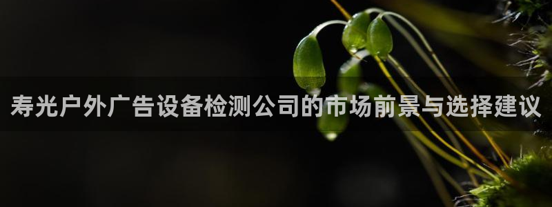 杏宇平台怎么样：寿光户外广告设备检测公司的市场前景与选择建议
