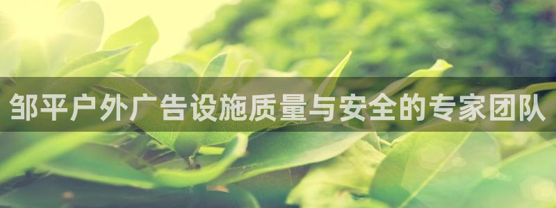 杏宇平台客服：邹平户外广告设施质量与安全的专家团队