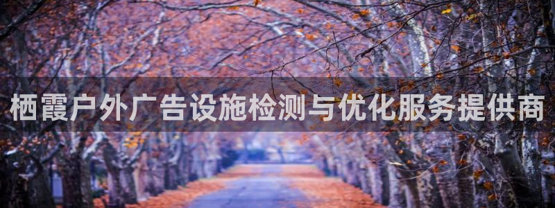 杏宇平台总代理电话：栖霞户外广告设施检测与优化服务提供商