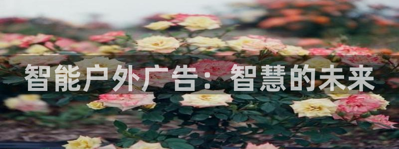 杏宇平台代理怎么赚钱的：智能户外广告：智慧的未来