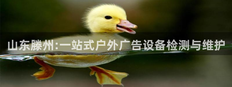 杏宇平台总代理：山东滕州:一站式户外广告设备检测与维护